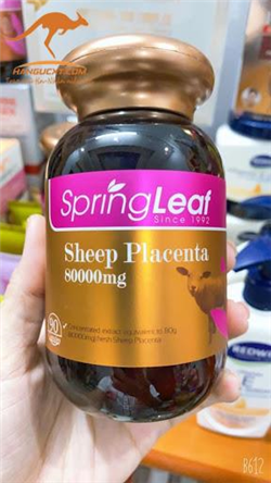 Nhau thai cừu Springleaf Sheep Placenta 80000mg