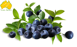 Tổng Hợp Các Công Dụng Tuyệt Vời Của Trái Việt Quất Blueberry